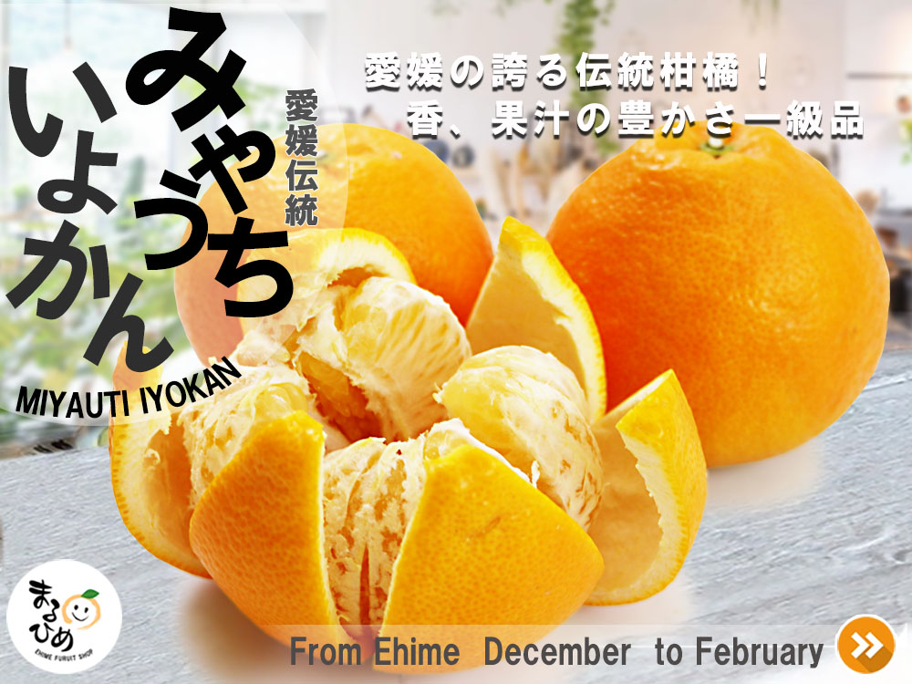 Tamama  さぬきひめ10p &amp;甘平M 愛媛だいすけ果樹園 愛媛県産 甘平（かんぺい）